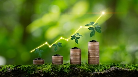 How $1,000 plus regular contributions turned into $823,000 through compounding